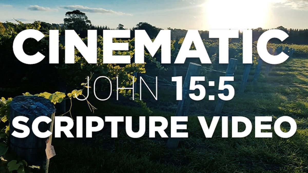 Cinematic Scripture Video John 15:5 NIV image number null